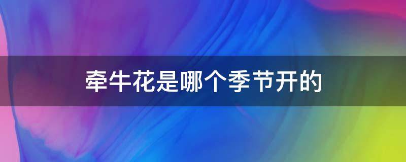 牵牛花是哪个季节开的（牵牛花是什么季节开的啊）