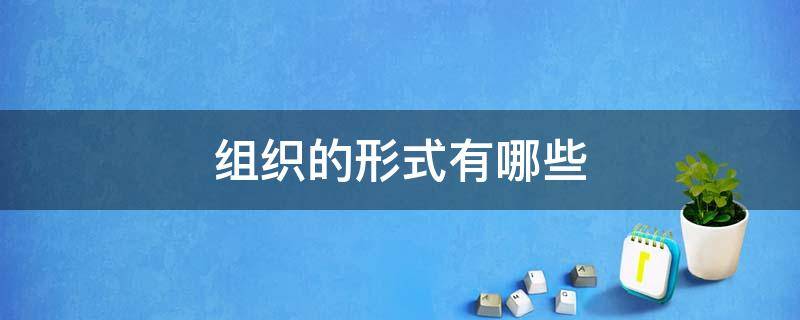组织的形式有哪些（组织的各种形式）