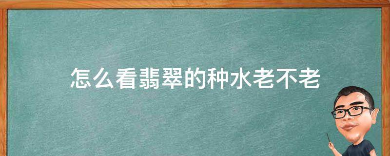 怎么看翡翠的种水老不老 怎么看翡翠种水老还是嫩