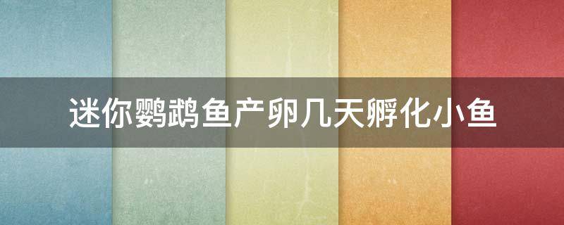 迷你鹦鹉鱼产卵几天孵化小鱼 迷你鹦鹉鱼产卵几天孵化小鱼怎么没了
