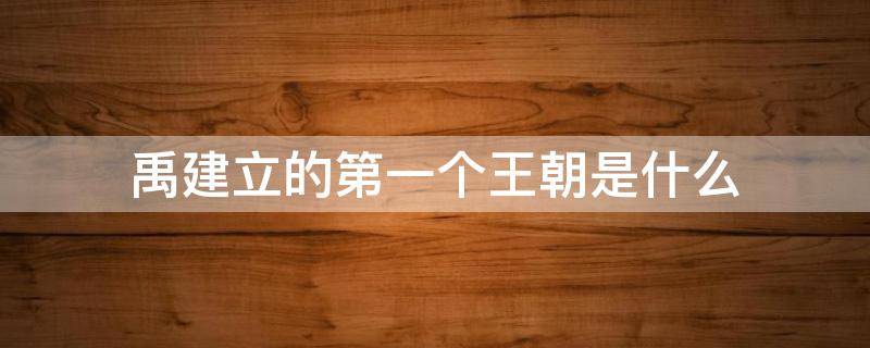 禹建立的第一个王朝是什么（大禹建立的第一个王朝是什么）
