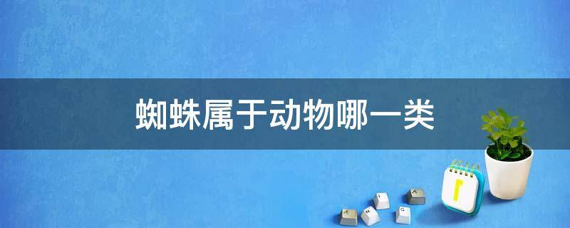 蜘蛛属于动物哪一类（请问蜘蛛是什么动物?属于哪一类）