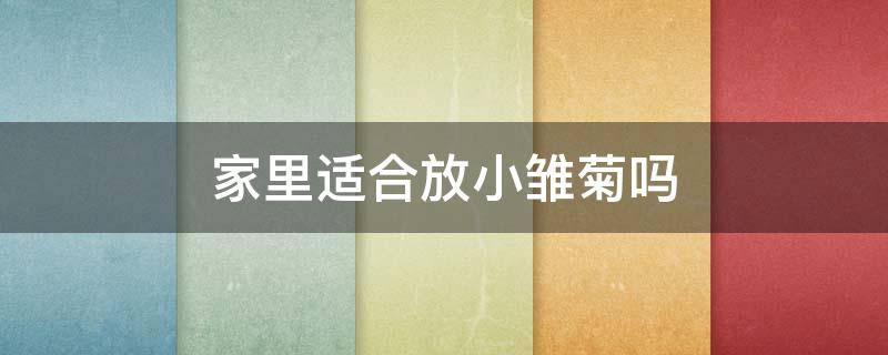 家里适合放小雏菊吗 家里能不能放小雏菊