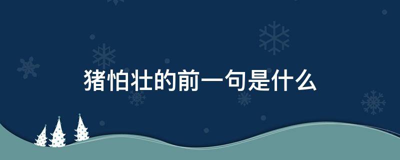 猪怕壮的前一句是什么 人不怕出名猪怕壮的意思