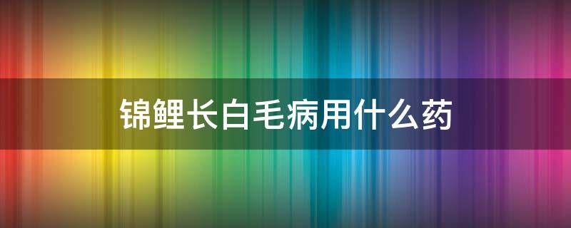 锦鲤长白毛病用什么药 锦鲤得白毛病用啥药