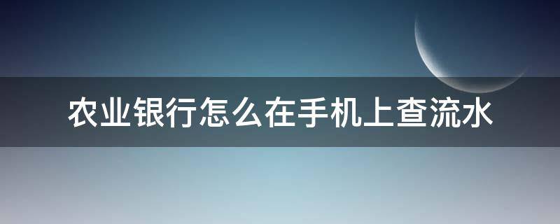 农业银行怎么在手机上查流水（农业银行怎么在手机上查流水明细）