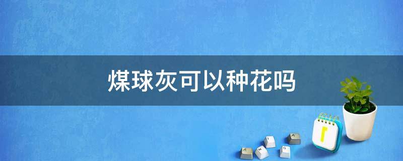 煤球灰可以种花吗（煤灰能不能种花）