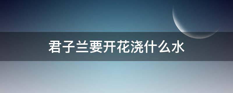 君子兰要开花浇什么水 君子兰要开花浇什么水花开的快