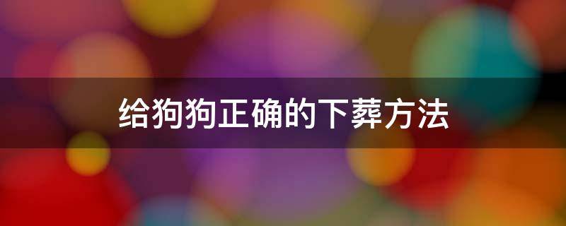 给狗狗正确的下葬方法（给狗狗正确的下葬方法狗狗火花出殡）