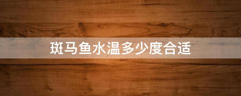 斑马鱼水温多少度合适（斑马鱼水温多少度最好）