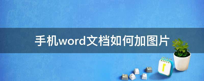 手机word文档如何加图片 手机word文档怎么加图片