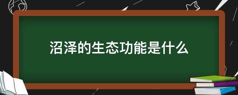 沼泽的生态功能是什么（沼泽湿地的生态功能有哪些）