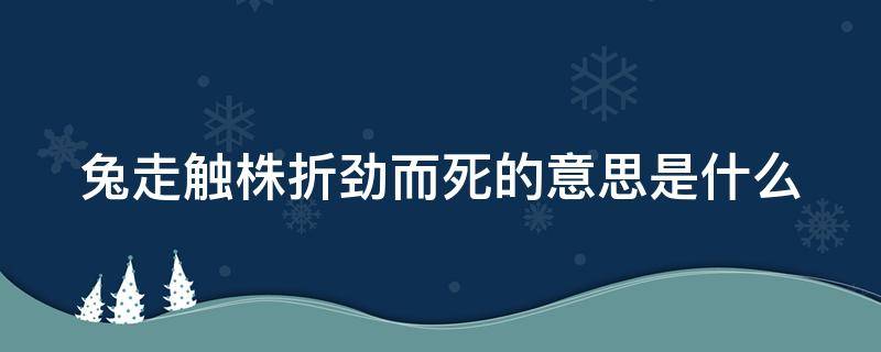 兔走触株折劲而死的意思是什么 兔走触株折劲而死的意思是什么 意思