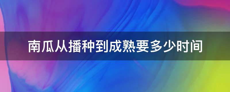 南瓜从播种到成熟要多少时间 南瓜播种期