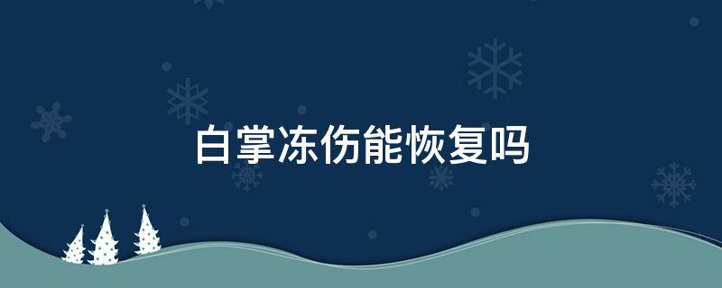 白掌冻伤能恢复吗 白掌冻了还能活吗