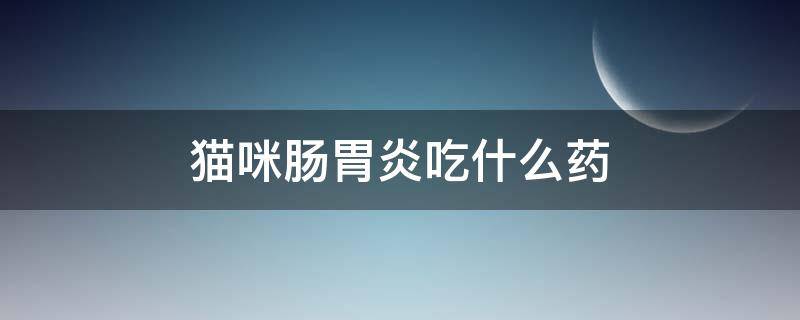 猫咪肠胃炎吃什么药（猫咪肠胃炎吃什么药效果最快）