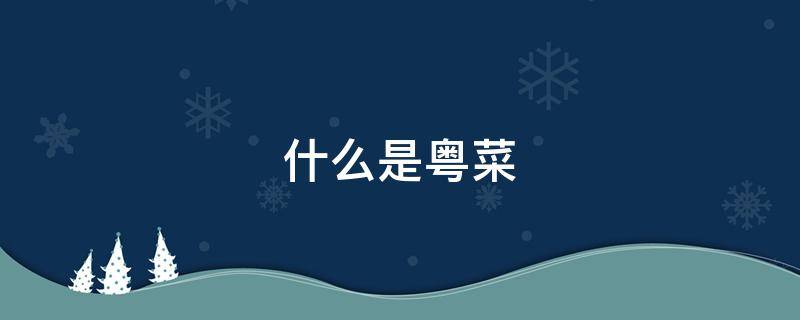 什么是粤菜（粤菜的特点是什么）