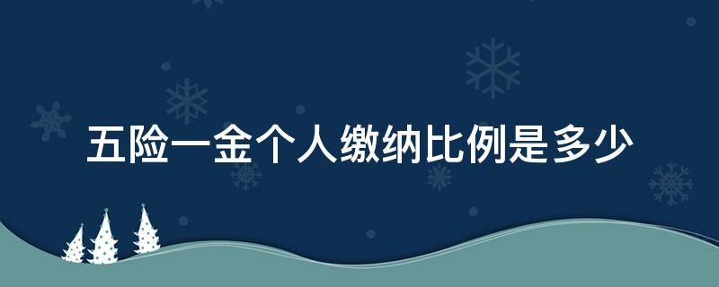 五险一金个人缴纳比例是多少（个人五险一金缴纳比例是多少钱）