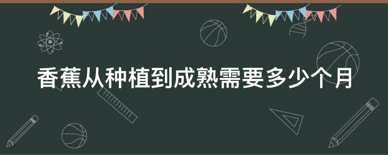 香蕉从种植到成熟需要多少个月 香蕉从种植到成熟需要多少个月娜娜