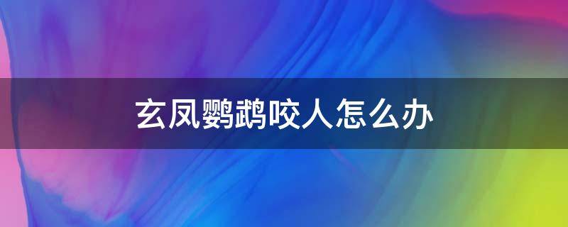 玄凤鹦鹉咬人怎么办 玄凤鹦鹉一直咬人怎么办