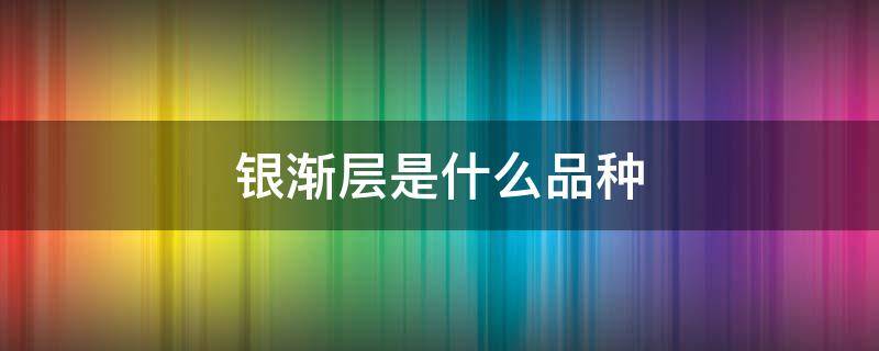 银渐层是什么品种 银渐层是什么品种配出来的
