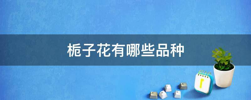 栀子花有哪些品种（栀子花有哪些品种图片）