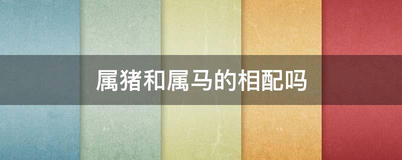 属猪和属马的相配吗（属猪的和什么属马相配吗）