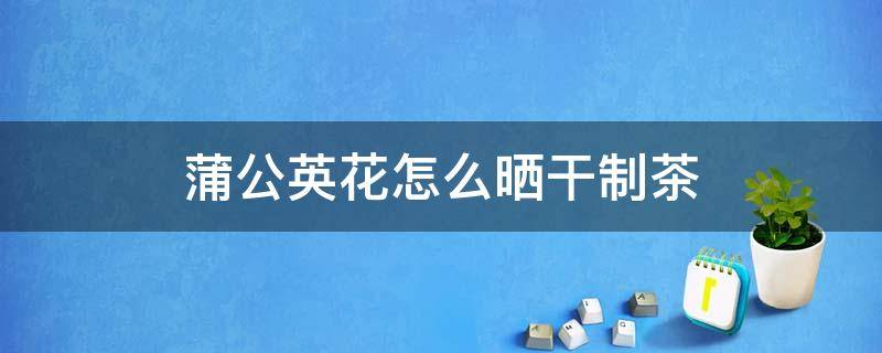 蒲公英花怎么晒干制茶 蒲公英花怎么晒干制茶赵丽颖冯绍峰