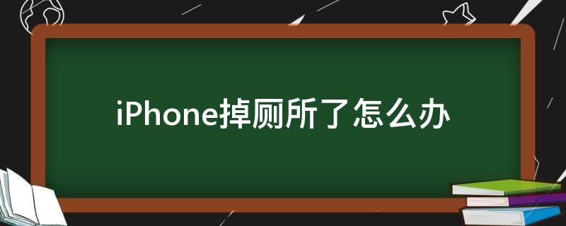 iPhone掉厕所了怎么办（iphone掉进厕所怎么办）