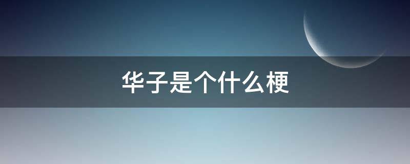 华子是个什么梗 华华子是什么梗