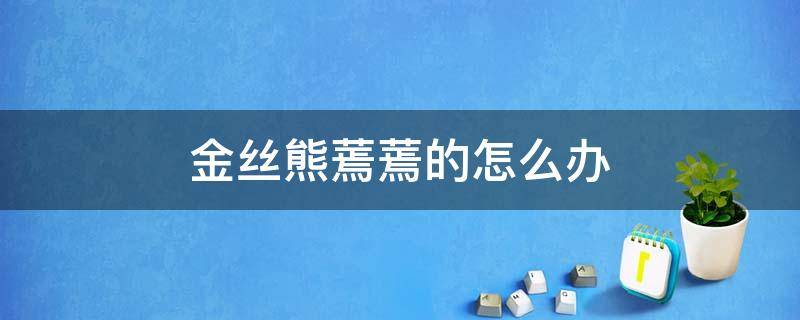 金丝熊蔫蔫的怎么办 金丝熊僵硬了怎么办