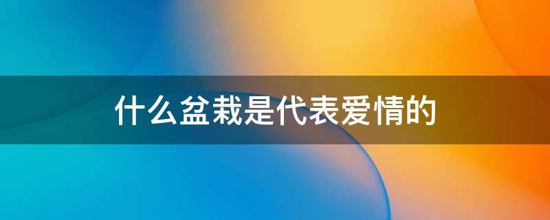 什么盆栽是代表爱情的（什么的盆栽寓意着爱情）