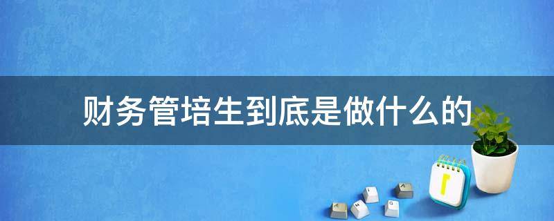 财务管培生到底是做什么的 会计管培生是什么性质的工作