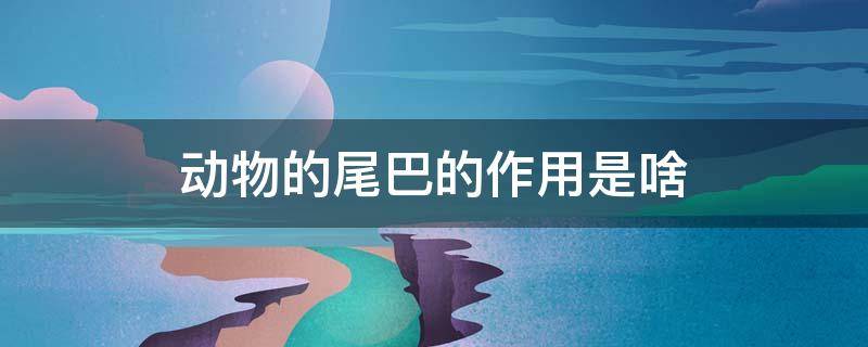 动物的尾巴的作用是啥 动物的尾巴作用有哪些