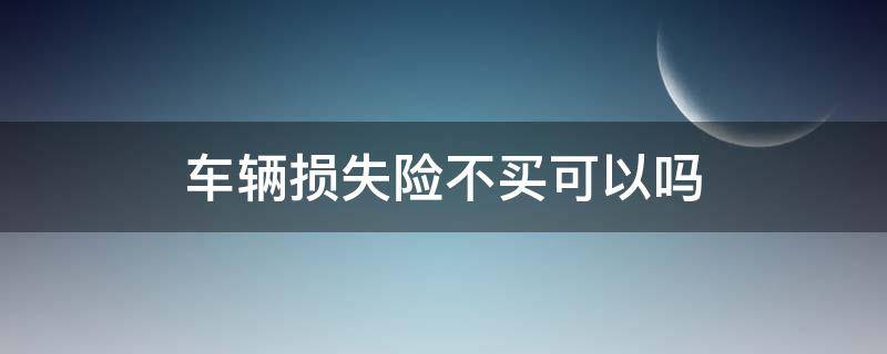 车辆损失险不买可以吗 车辆损失保险可以不买吗
