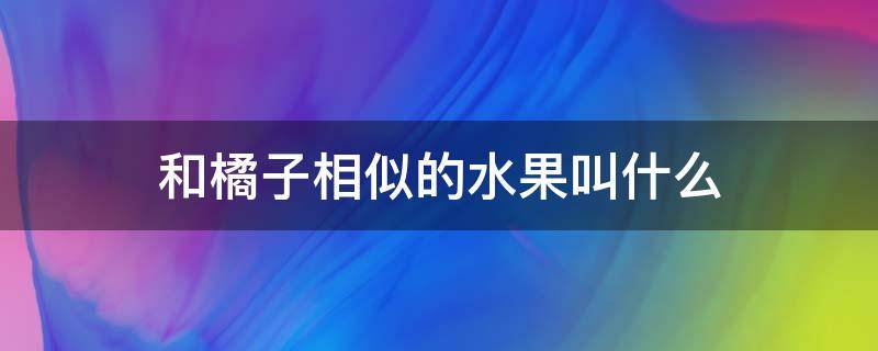 和橘子相似的水果叫什么（和橘子类似水果叫什么）