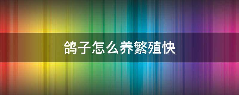 鸽子怎么养繁殖快 鸽子怎么养繁殖快,视频教学