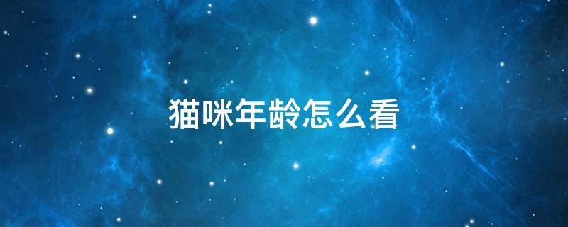猫咪年龄怎么看 怎么看得出猫咪的年龄
