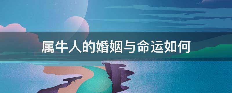 属牛人的婚姻与命运如何 属牛人的命运和婚姻