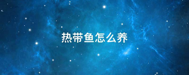 热带鱼怎么养 小型热带鱼怎么养