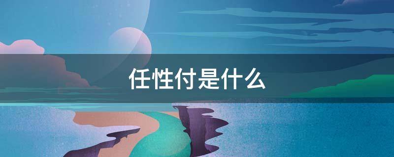 任性付是什么（任性付是什么网贷）