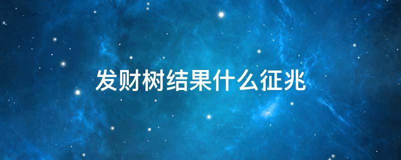 发财树结果什么征兆（发财树开花结果是什么预兆）