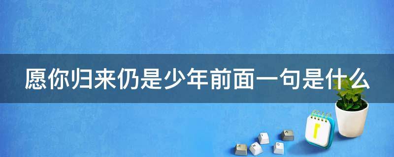 愿你归来仍是少年前面一句是什么 愿你归来仍是少年前面一句是什么兵哥哥