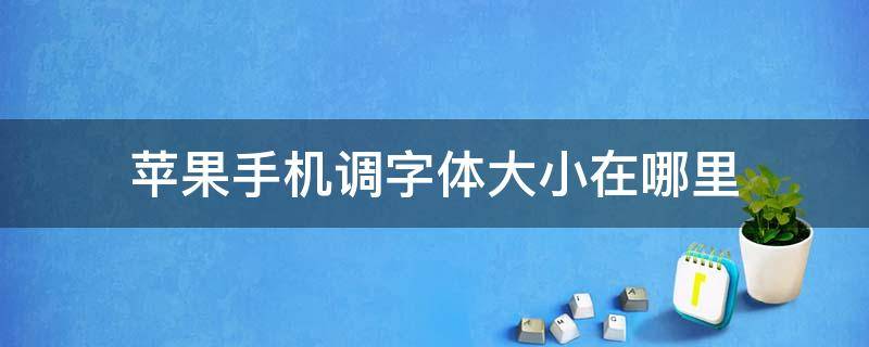苹果手机调字体大小在哪里（苹果手机调字体大小在哪里苹果手机输入法）