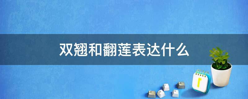 双翘和翻莲表达什么（京剧中的双翘和翻莲是什么意思）