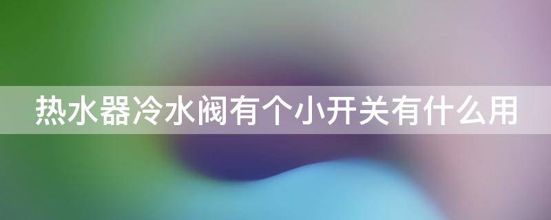 热水器冷水阀有个小开关有什么用（热水器冷水阀有个小开关有什么用途）