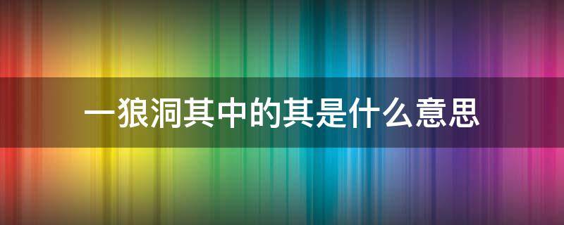 一狼洞其中的其是什么意思（一狼洞其中洞其是什么意思）