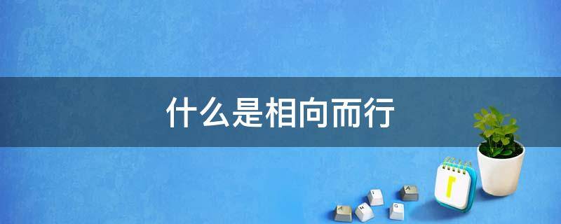 什么是相向而行 什么是相向而行什么是相对而行