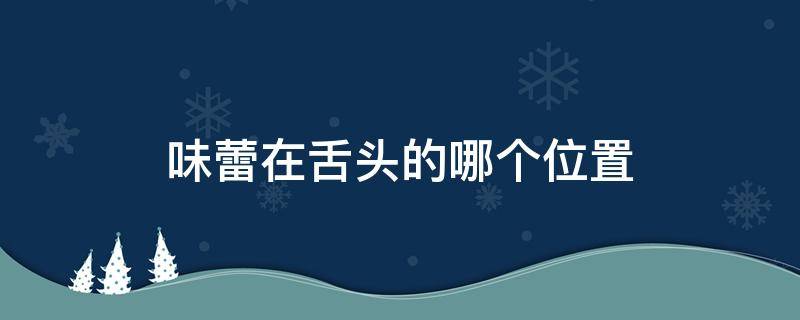 味蕾在舌头的哪个位置（辣味味蕾在舌头的哪个位置）