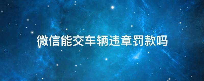 微信能交车辆违章罚款吗（微信上可以交车辆违章罚款吗）